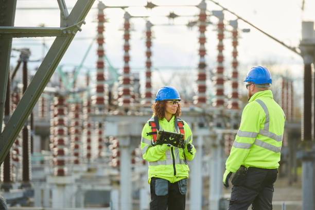 Best Electrical Repair Services  in Ludowici, GA